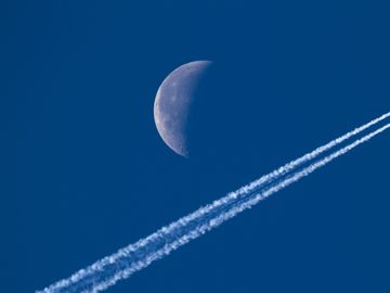 How Google Flights is shaking up the travel Industry How Google Flights is shaking up the travel Industry