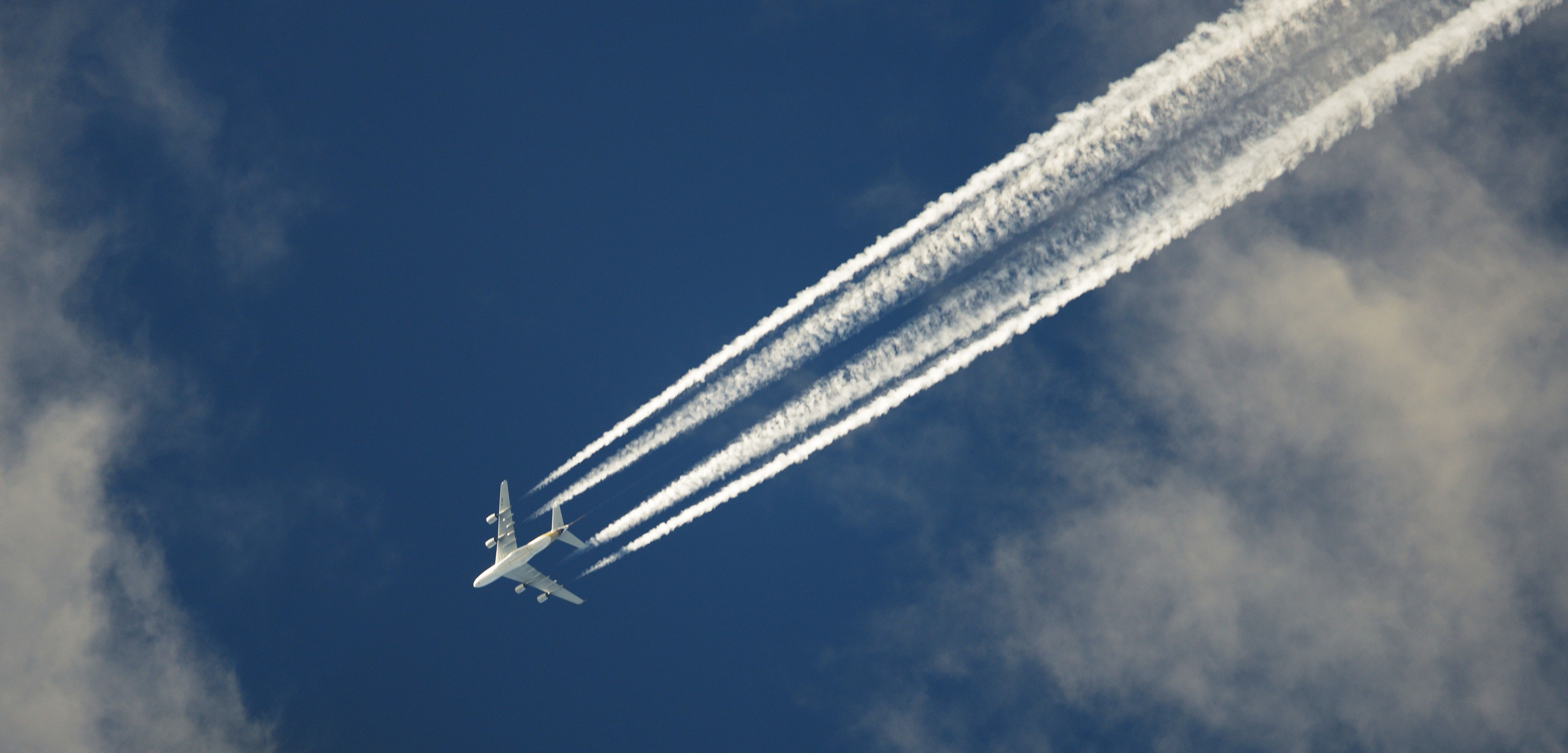 thorsen-green-travel-policy-tips