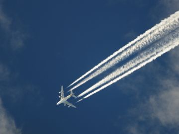  alt="thorsen-green-travel-policy-tips"  title="thorsen-green-travel-policy-tips" 