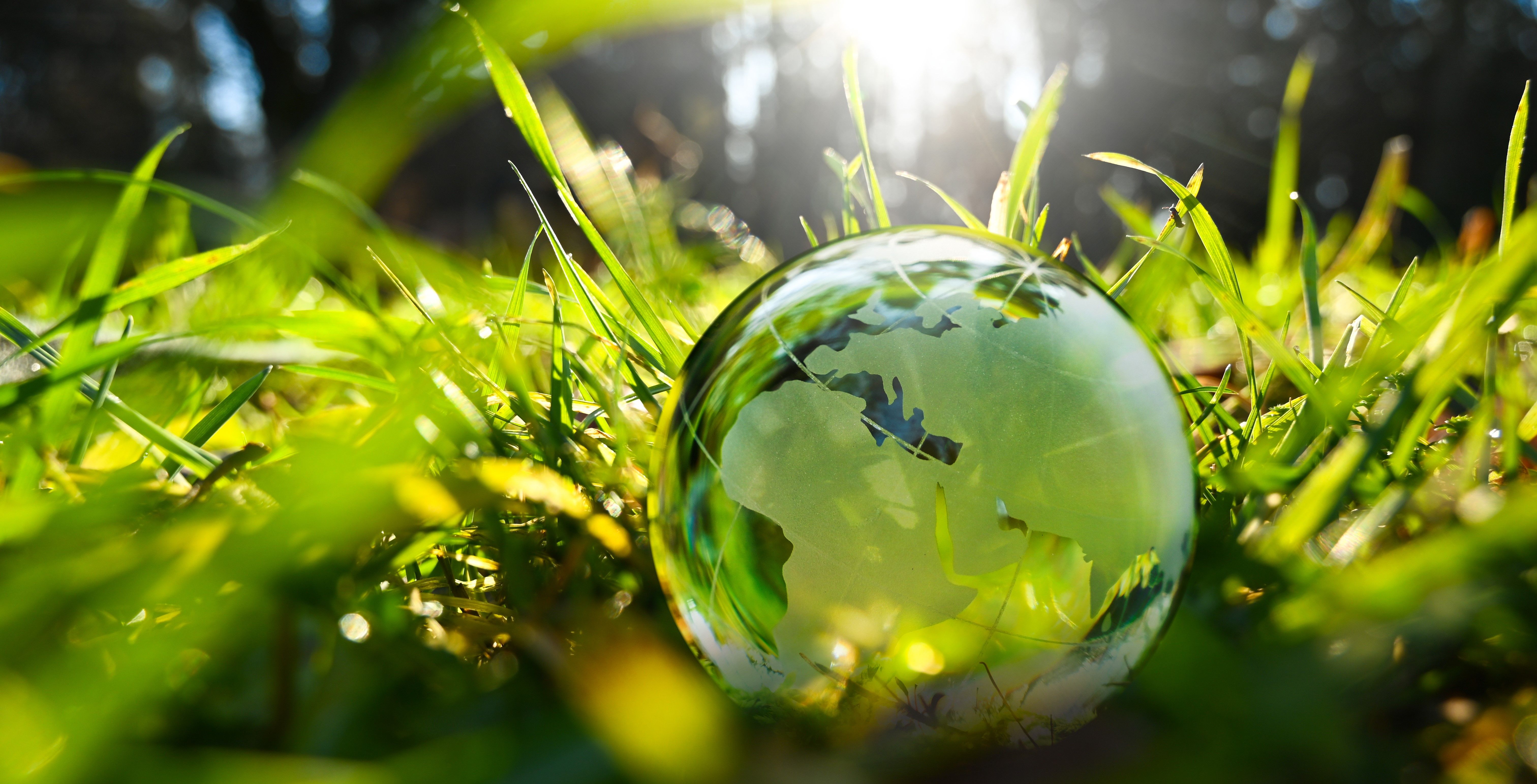 sea-going-green-op-ed