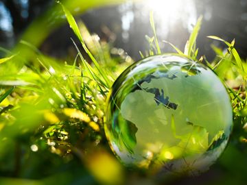 sea-going-green-op-ed sea-going-green-op-ed