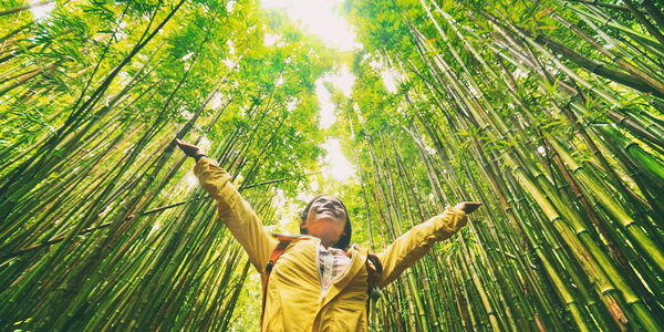 green traveler