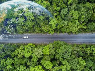 How AI can prepare travel and tourism’s workforce for the green transition