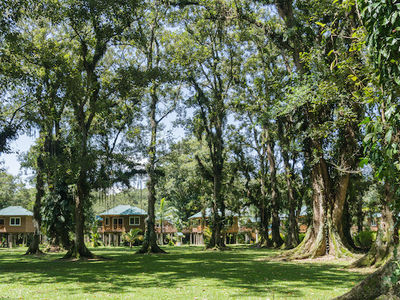 Actions, not words, will make sustainability work for the short-term rental industry Actions, not words, will make sustainability work for the short-term rental industry