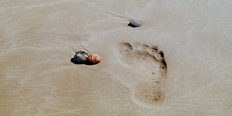 QOTW: Something about taking a bold step to be different