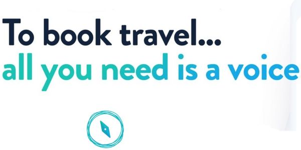 Halo Travel unveiled to bring booking and payments via voice assistant