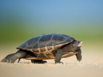 QOTW: Something about not moving fast enough QOTW: Something about not moving fast enough