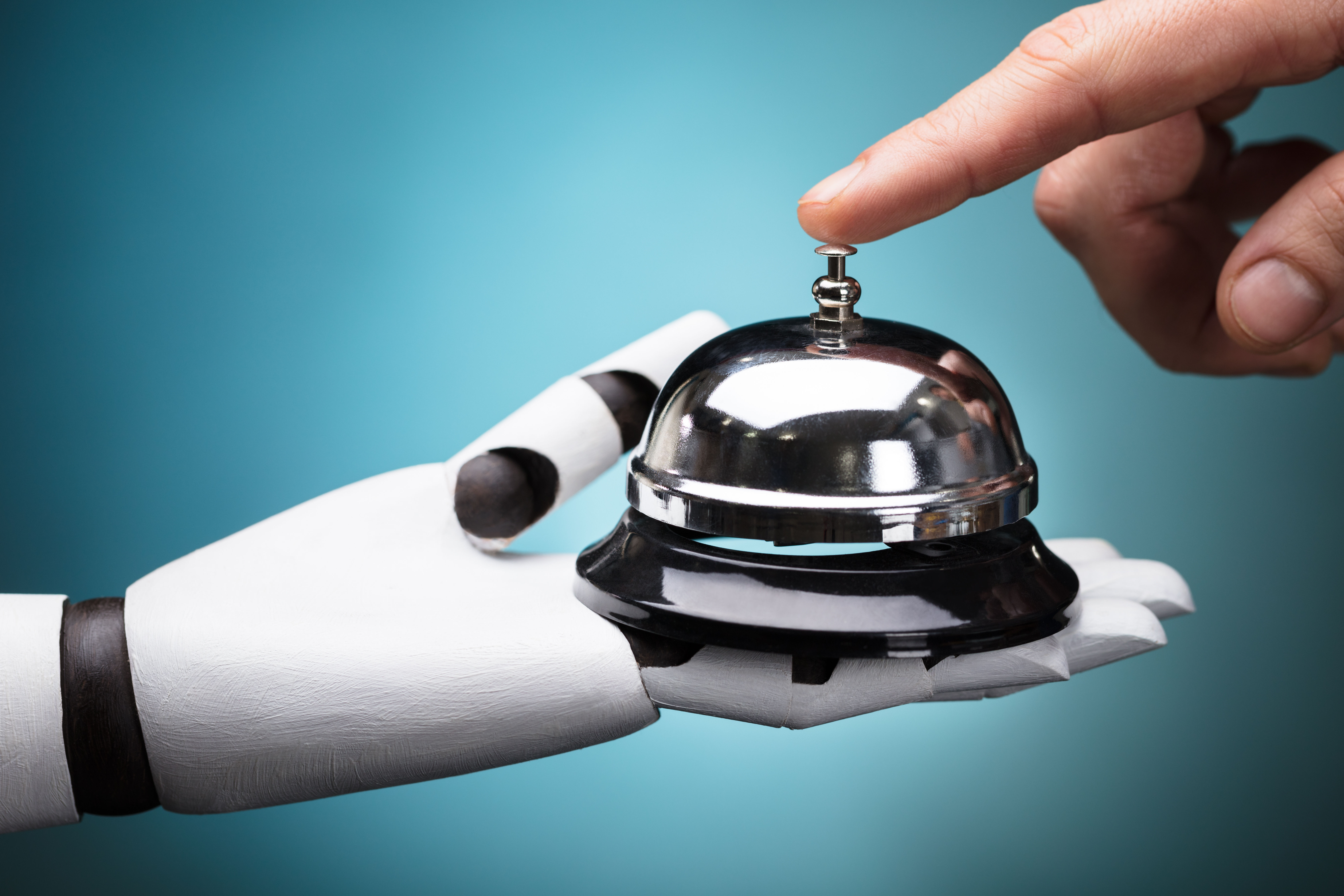Consumers want companionship - but not from humans - while traveling