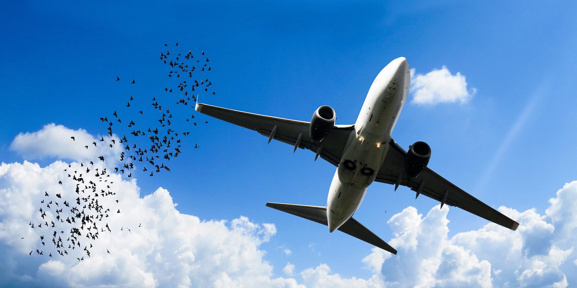 OAG interview air travel data