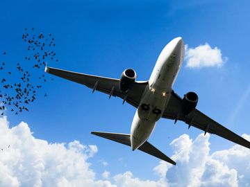 OAG interview air travel data OAG interview air travel data
