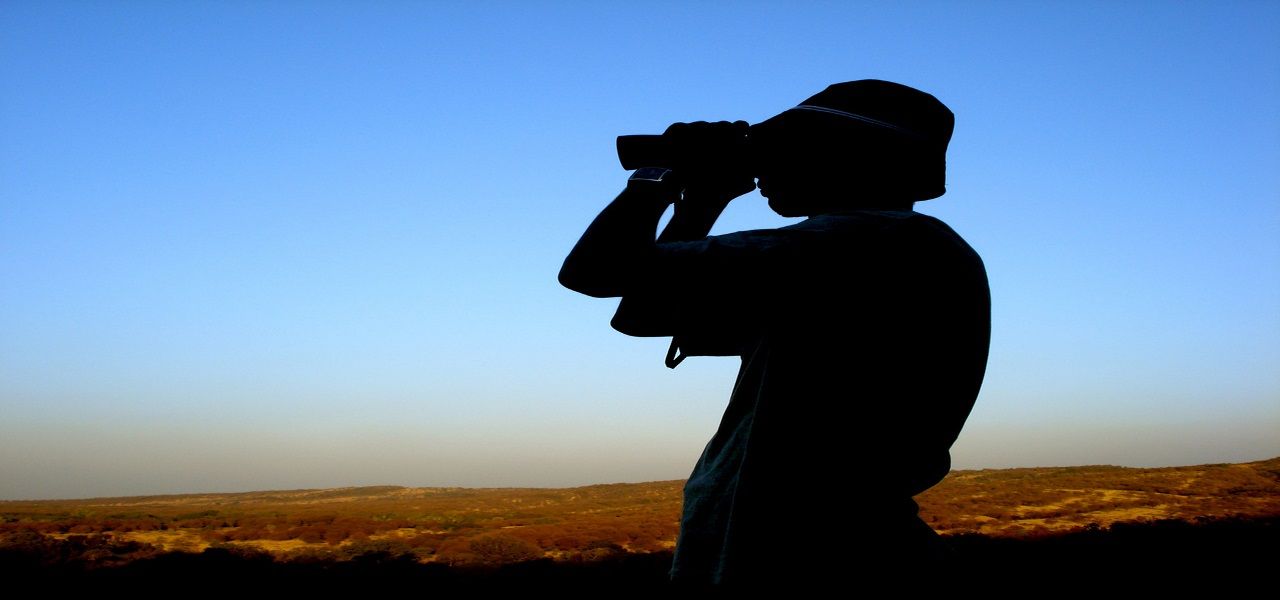 Metasearch can survive and thrive (with some tweaks along the way)
