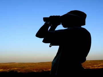 Metasearch can survive and thrive (with some tweaks along the way) Metasearch can survive and thrive (with some tweaks along the way)