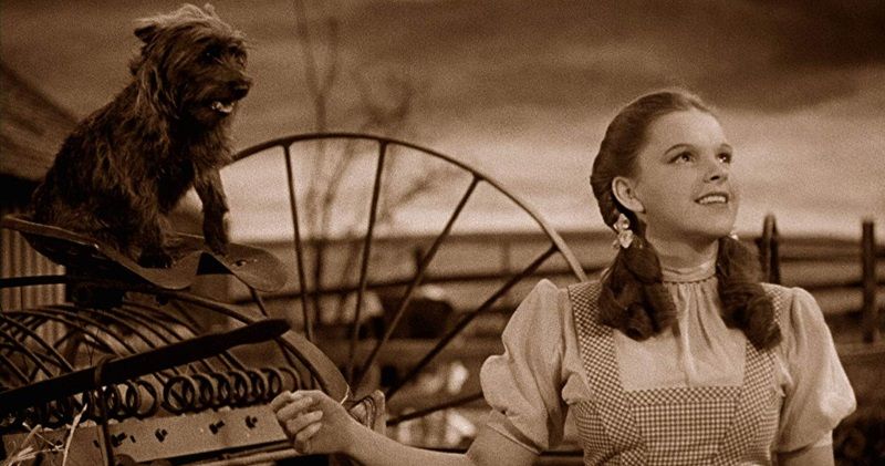 QOTW: Something about not being in Kansas anymore
