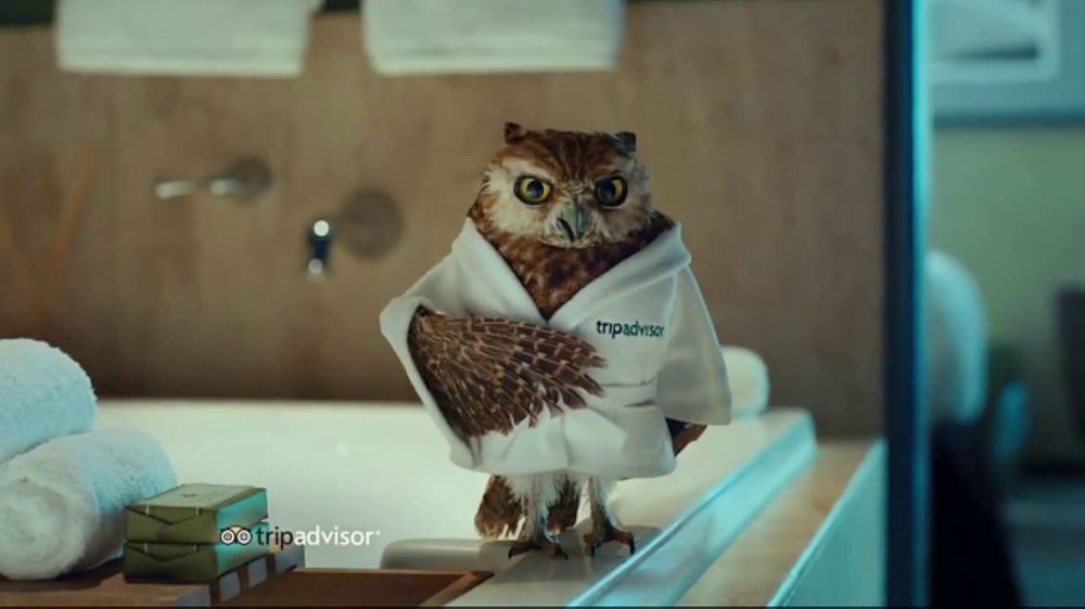 TripAdvisor 2018 strategy hotels attractions mobile