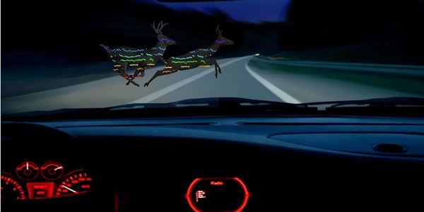 How an autonomous vehicle startup unicorn took a wrong turn