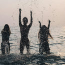 Novelty and loyalty at odds