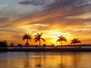 TRX hopes for soft landing as Expedia sunsets some functions