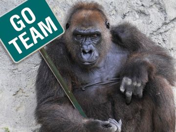 Day Ten of Ten - How to build a user experience, not just a website
