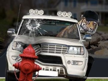 With nothing to lose, Spirit Airlines clubs Tiger Woods with crash ad