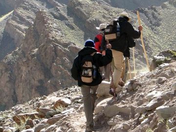 Tour and activity sector has a new light shone upon it