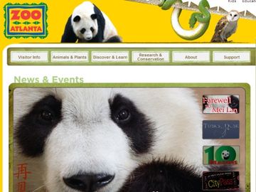 Has Air New Zealand considered custom-built containers for Pandas? FedEx has