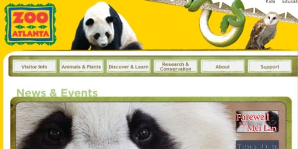 Has Air New Zealand considered custom-built containers for Pandas? FedEx has