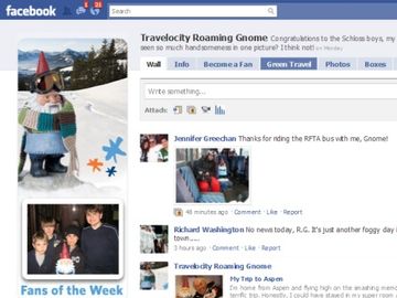 Carnival, Travelocity say e-marketing, SEO, website tweaks behind traffic surge