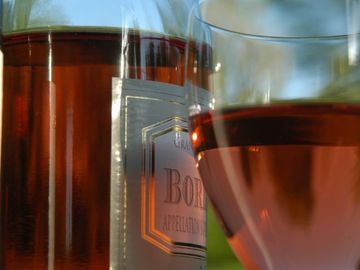 In great grape mashup, NileGuide signs sweet deal with Wine Travel Guides