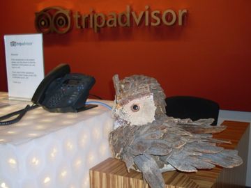 Part Two of Four: TripAdvisor CEO explains link policy, feels the hotel love