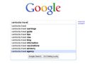 Three quarters of consumers use Google Suggest to begin their travel search