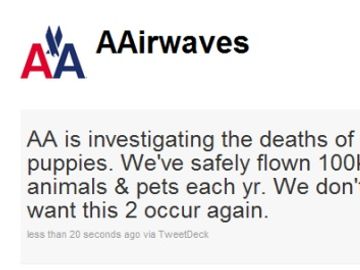American Airlines investigating puppy deaths