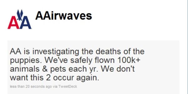 American Airlines investigating puppy deaths