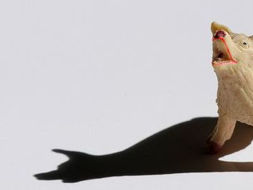 Lipstick on a pig – The challenge with activities distribution