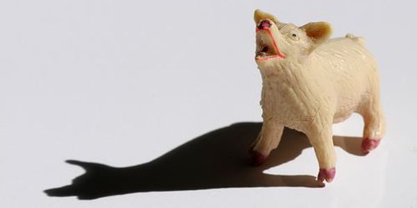 Lipstick on a pig – The challenge with activities distribution