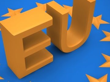Google reminded Europe will push GDS Code of Conduct change