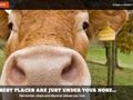 Kukunu switches focus, becomes location tip engine Scoville