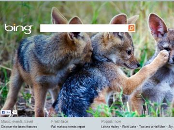 Microsoft mulls Bing Decision Engine decision and does anyone remember Bing Travel?