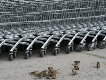 Offline touch points still vital for online shopping, travel brochure not dead