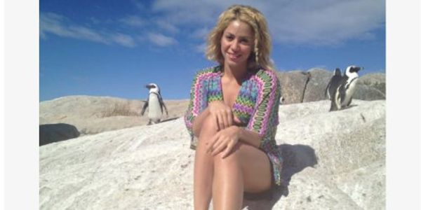 Shakira tells Facebook fans BlackBerry caused sea lion attack