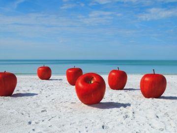 Why destination marketing providers need to think more like Google, Apple and Facebook