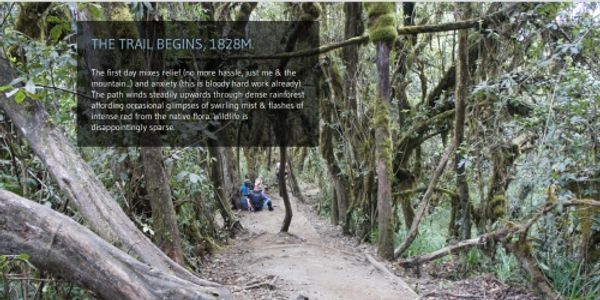 Adventure specialist uses hack day to bring Kilimanjaro to life