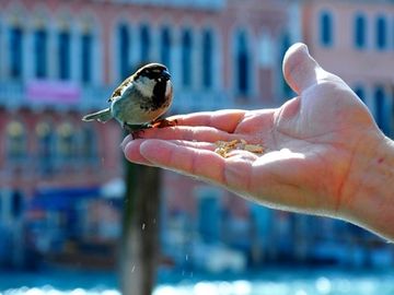 Back to basics - Looking again at using Twitter for travel brands