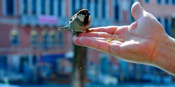 Back to basics - Looking again at using Twitter for travel brands