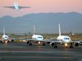 Which was the only company to apply for a .FLY domain?