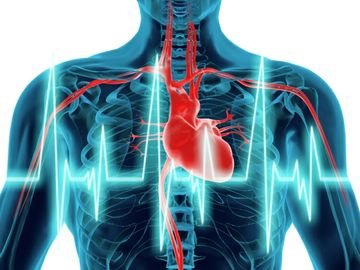 AirPlus monitors traveller heart rate to gauge business travel impact
