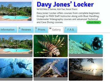 Ocean heaven as TangaReef brings bookings and reviews to diving trips