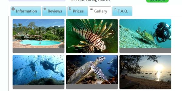 Ocean heaven as TangaReef brings bookings and reviews to diving trips