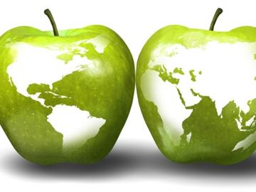 What will Apple do in travel? More questions than answers