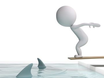 TravelShark CEO jumps (from) the shark