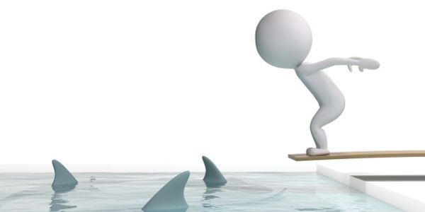 TravelShark CEO jumps (from) the shark